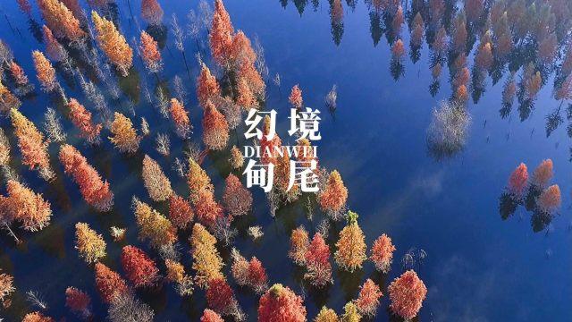 市区快速路合流区信号灯启用